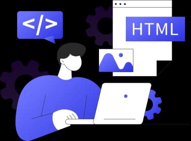 Web Design & Development Agencies